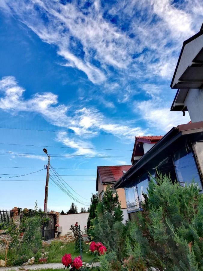 那沃达利 Casa Alba酒店 外观 照片